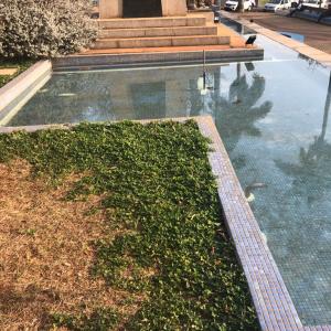 Imagem da notícia PRAÇA DA MATRIZ PASSA POR REVITALIZAÇÃO