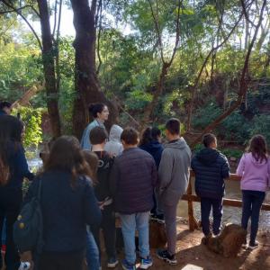 Imagem da notícia COLÉGIO CONEXÃO NO HORTO MUNICIPAL