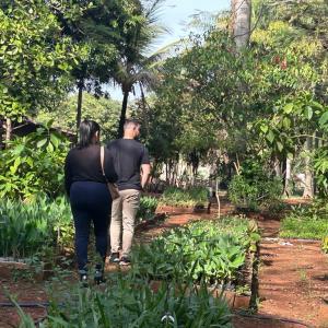 Imagem da notícia MÊS DA ÁRVORE - VISITA E AÇÃO NO HORTO MUNICIPAL