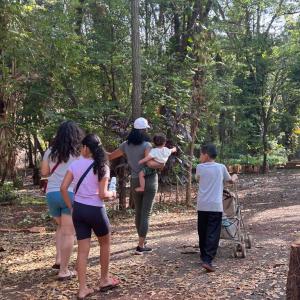 Imagem da notícia MÊS DA ÁRVORE - VISITA E AÇÃO NO HORTO MUNICIPAL