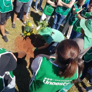 Imagem da notícia FIM DE SEMANA TEM DIVERSAS AÇÕES DO MÊS DA ÁRVORE