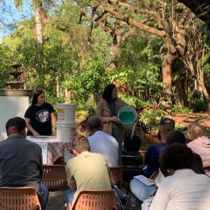 Imagem da notícia FIM DE SEMANA TEM DIVERSAS AÇÕES DO MÊS DA ÁRVORE