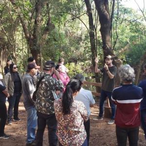 Imagem da notícia FIM DE SEMANA TEM DIVERSAS AÇÕES DO MÊS DA ÁRVORE