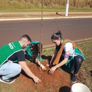 Imagem da notícia FIM DE SEMANA TEM DIVERSAS AÇÕES DO MÊS DA ÁRVORE