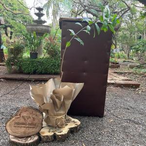 Imagem da notícia HORTO MUNICIPAL AGORA TEM SITE E IDENTIDADE VISUAL