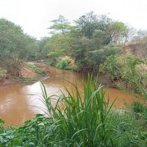 Imagem da notícia PREFEITURA E DAEE REALIZAM NOVA VISTORIA NO RIO JAÚ
