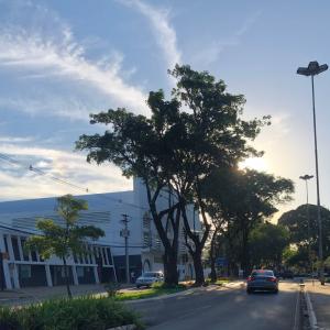 Imagem da notícia PREFEITURA REALIZA PODA DE LEVANTAMENTO DE ÁRVORES NA REGIÃO DO BECO