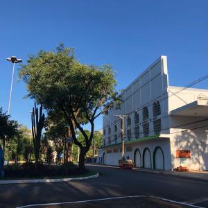 Imagem da notícia PREFEITURA REALIZA PODA DE LEVANTAMENTO DE ÁRVORES NA REGIÃO DO BECO