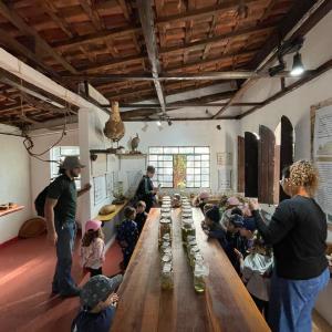 Imagem da notícia CRIANÇAS DO PORTO ALVORADA APRENDEM NO HORTO MUNICIPAL