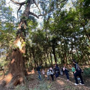 Imagem da notícia CRIANÇAS DO PORTO ALVORADA APRENDEM NO HORTO MUNICIPAL