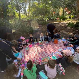 Imagem da notícia CRIANÇAS DO PORTO ALVORADA APRENDEM NO HORTO MUNICIPAL