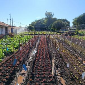 Imagem da notícia HORTA DO CILA BAUAB E ITAMARATI RECEBEM MELHORIAS