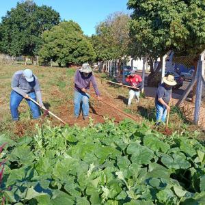 Imagem da notícia HORTA DO CILA BAUAB E ITAMARATI RECEBEM MELHORIAS