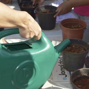 Imagem da notícia 9ª Ação Cidadã no residencial Frei Galvão - FOTOS