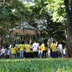 Imagem da notícia Maio Amarelo - 