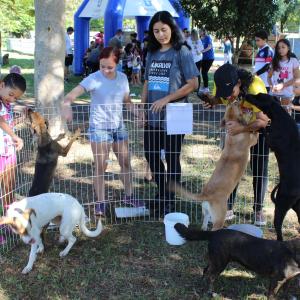 Imagem da notícia Ação comunitária, com recreação e brinquedos infláveis no Parque do Rio Jahu - FOTOS