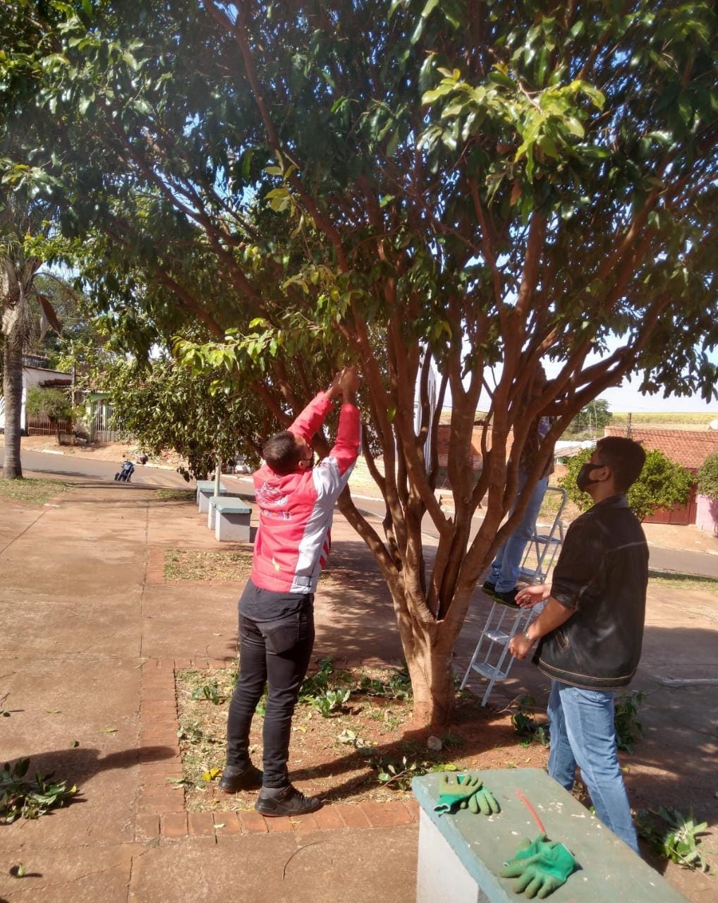 MAIS UMA TURMA DE PODADORES DE ÁRVORES QUALIFICADA