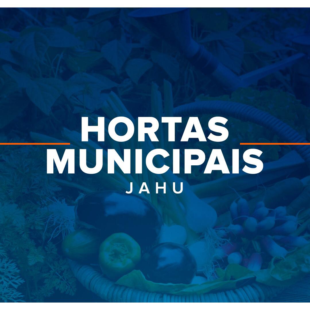 Hortas Municipais: produtos à venda na quinta-feira (19/08)