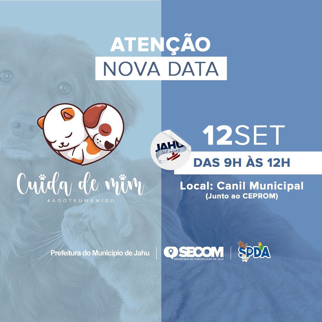 DOMINGO TEM CAMPANHA DE ADOÇÃO DE ANIMAIS