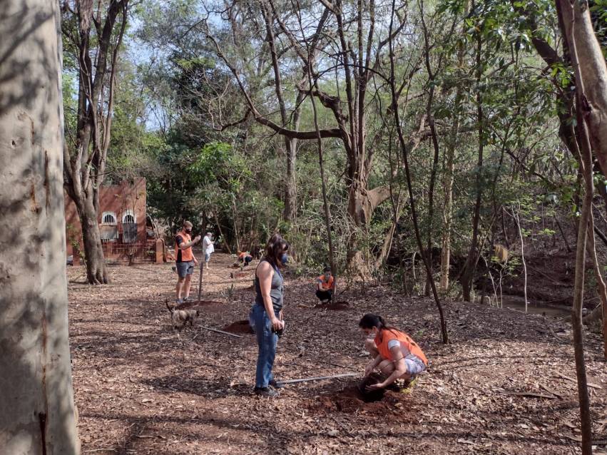 'MÊS DA ÁRVORE': PREFEITURA REALIZA PLANTIO DE ÁRVORES NO HORTO