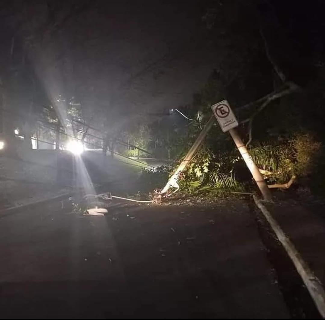 DEFESA CIVIL E BOMBEIROS TRABALHAM PARA LIBERAR AVENIDA APÓS QUEDA DE ÁRVORE