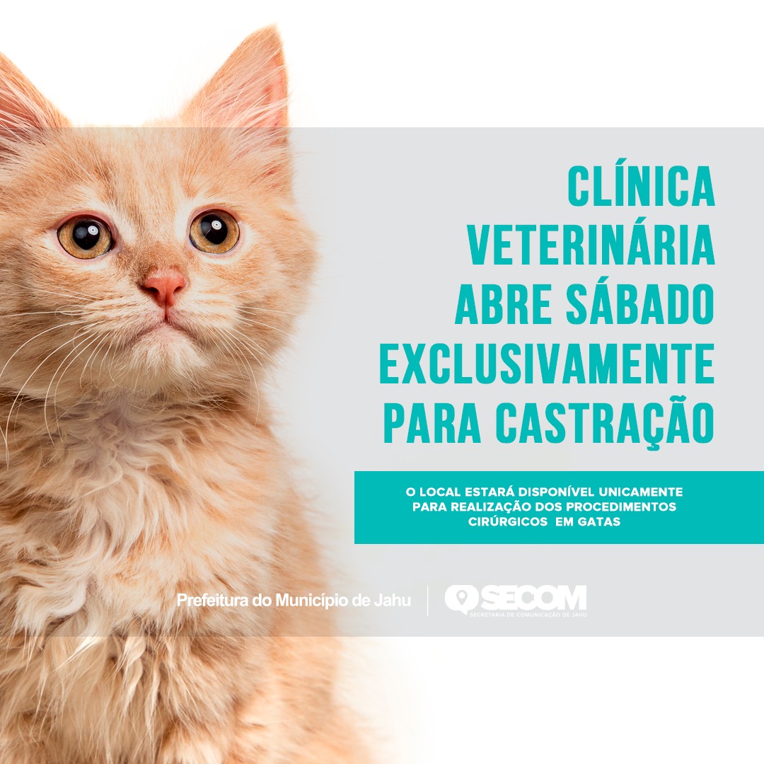 CLÍNICA VETERINÁRIA ABRE SÁBADO EXCLUSIVAMENTE PARA CASTRAÇÃO