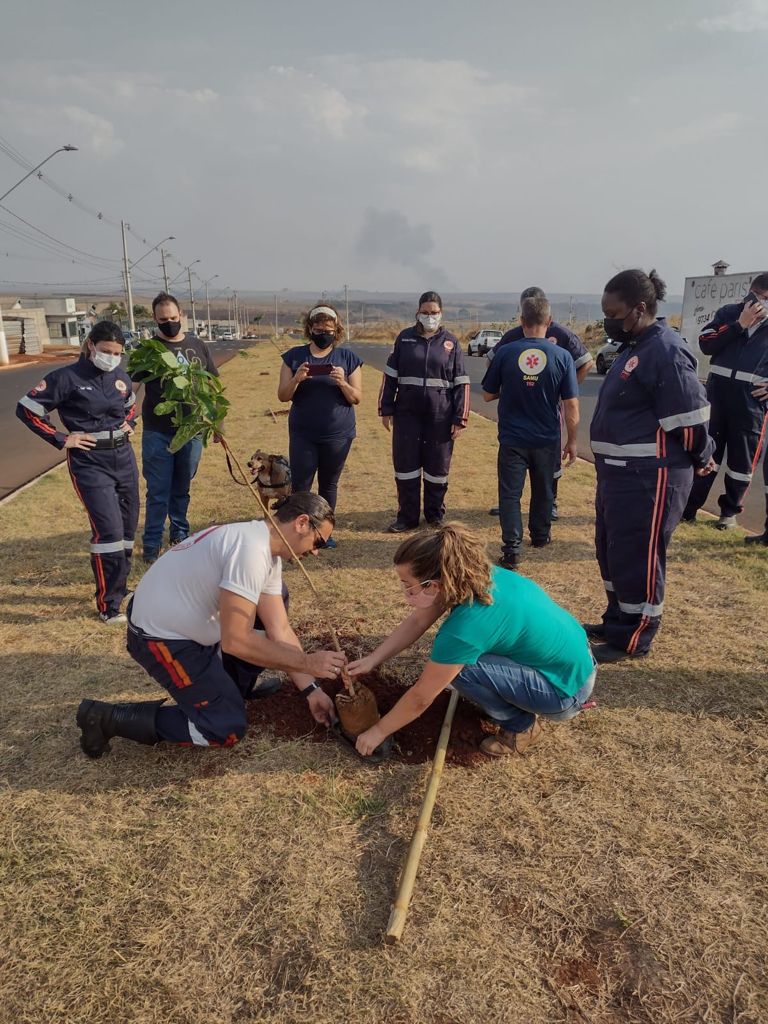 SEMEIA CONTINUA PLANTIO PARA ALCANÇAR MIL MUDAS PLANTADA EM UM MÊS
