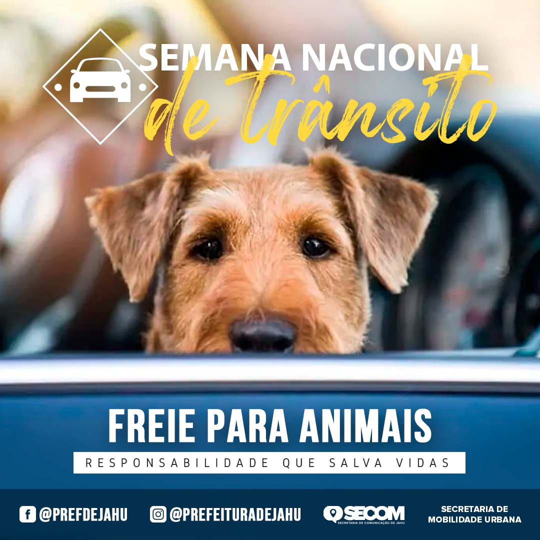 SEMANA NACIONAL DE TRÂNSITO - FREIE PARA ANIMAIS