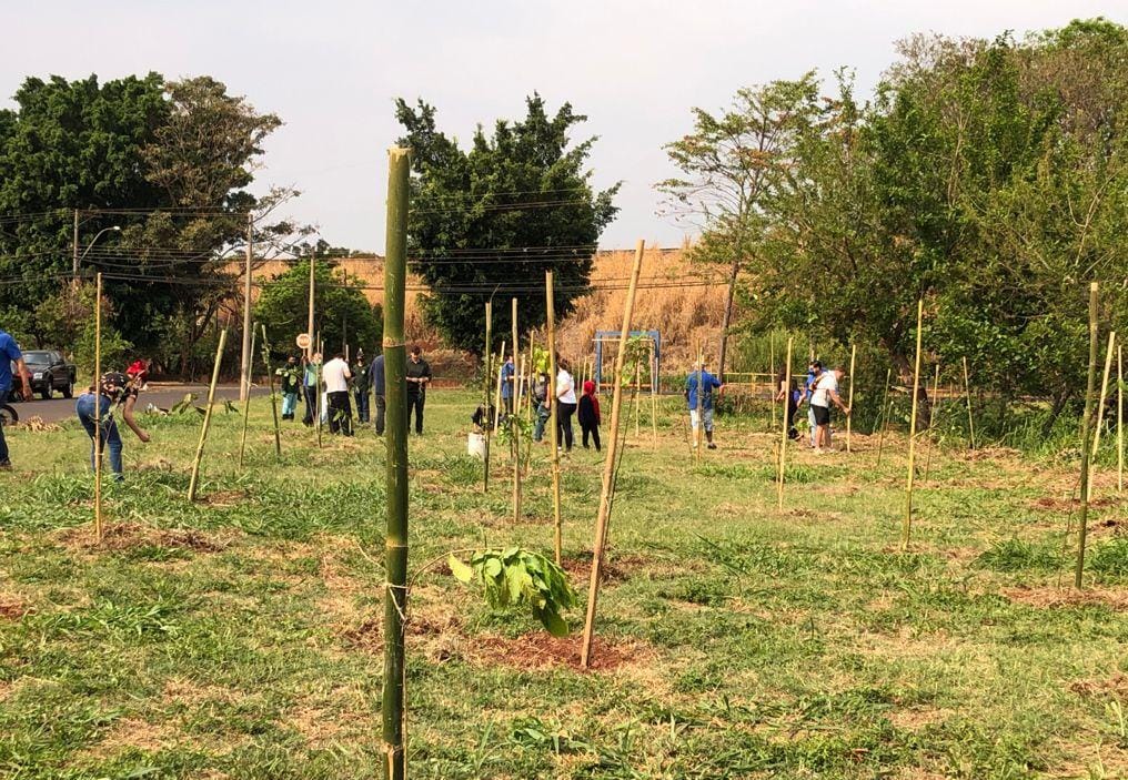 JARDIM SEMPRE VERDE GANHA 100 ÁRVORES