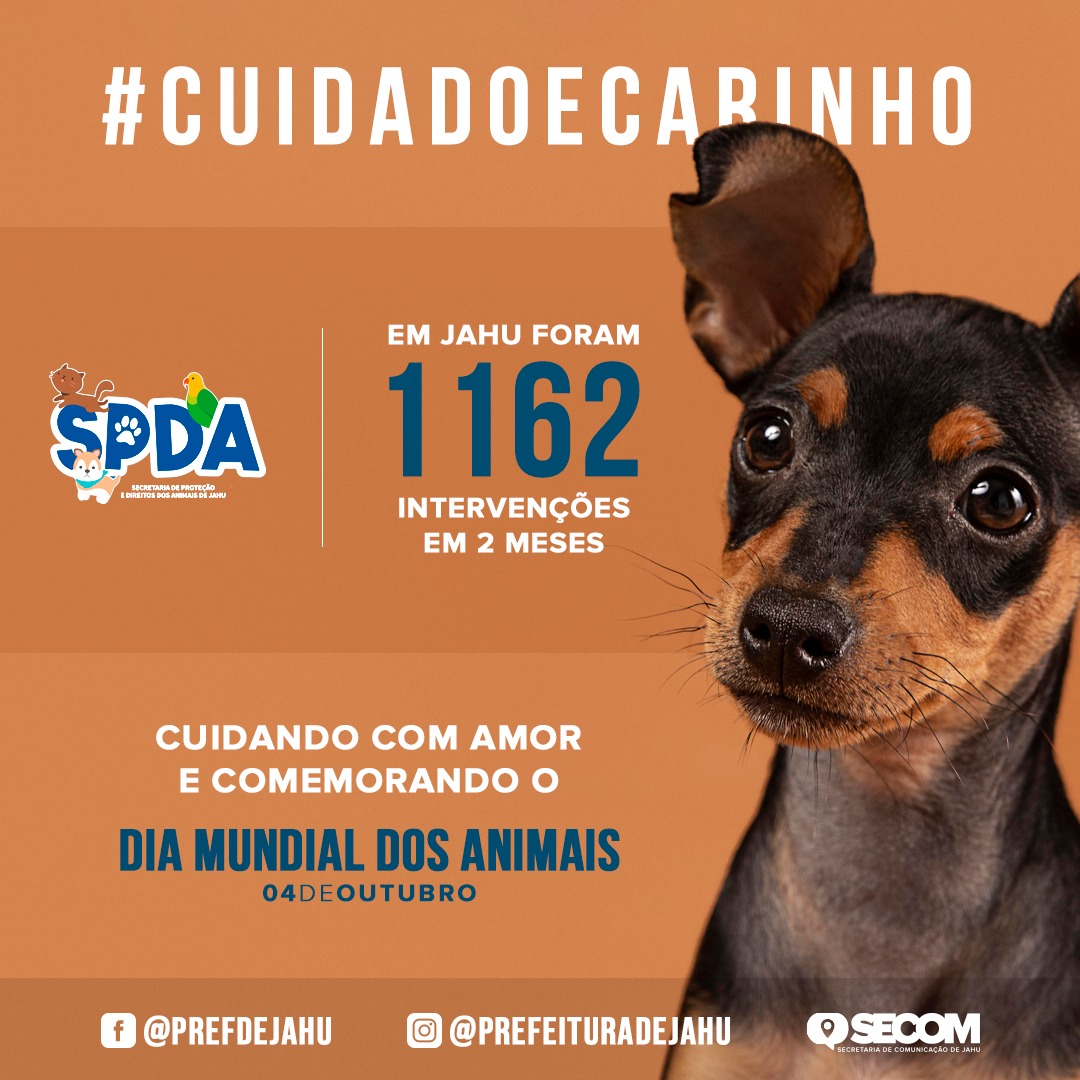 SECRETARIA DE PROTEÇÃO ANIMAL: BALANÇO DE AGOSTO E SETEMBRO