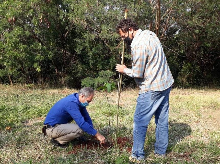 SEMEIA INICIA IMPLANTAÇÃO DE 1º POMAR URBANO EM JAHU