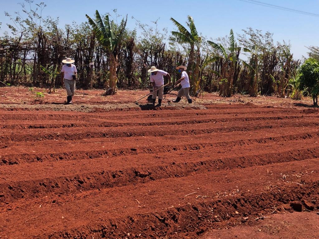 AGRICULTURA CAPACITA REEDUCANDOS