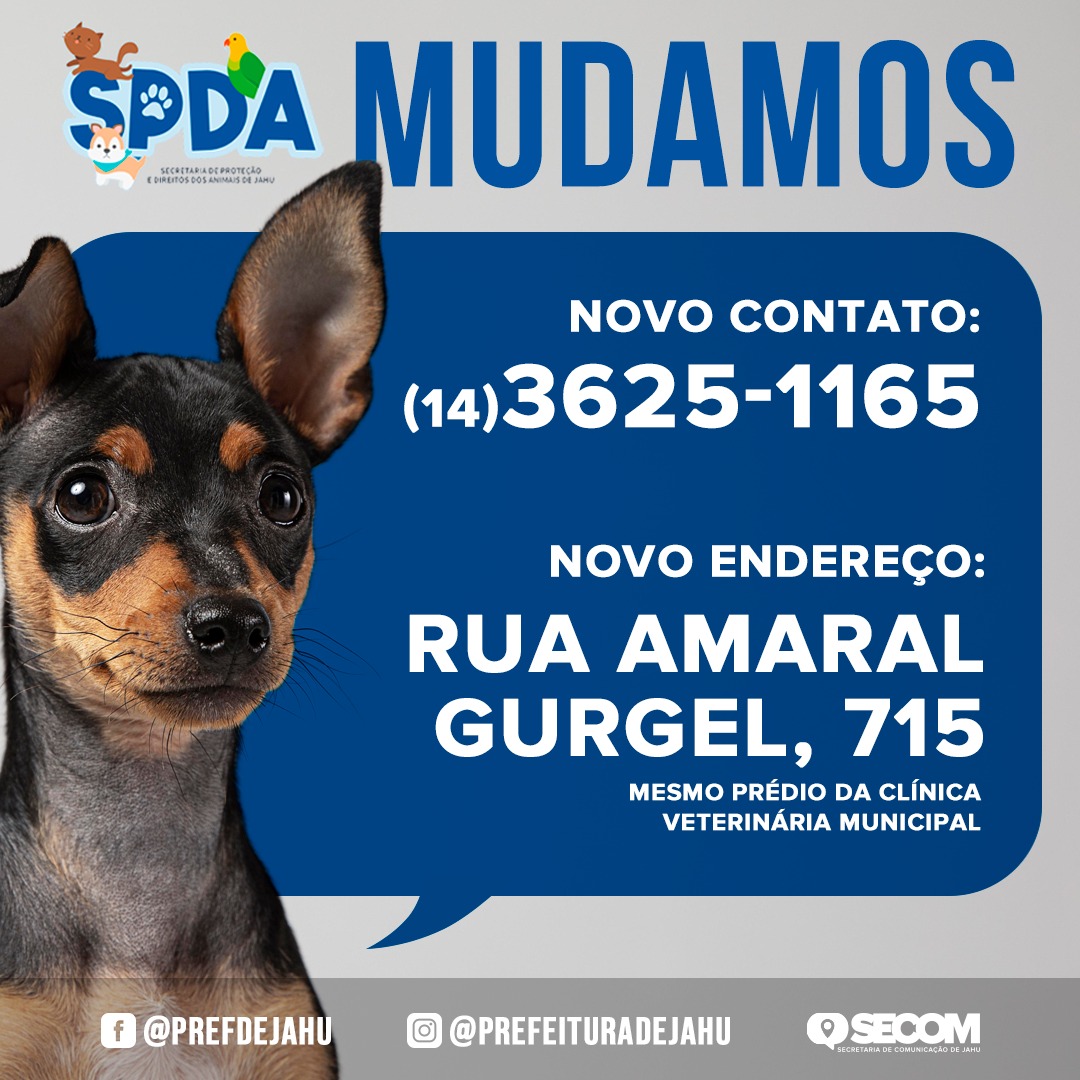 NOVO ENDEREÇO E TELEFONE