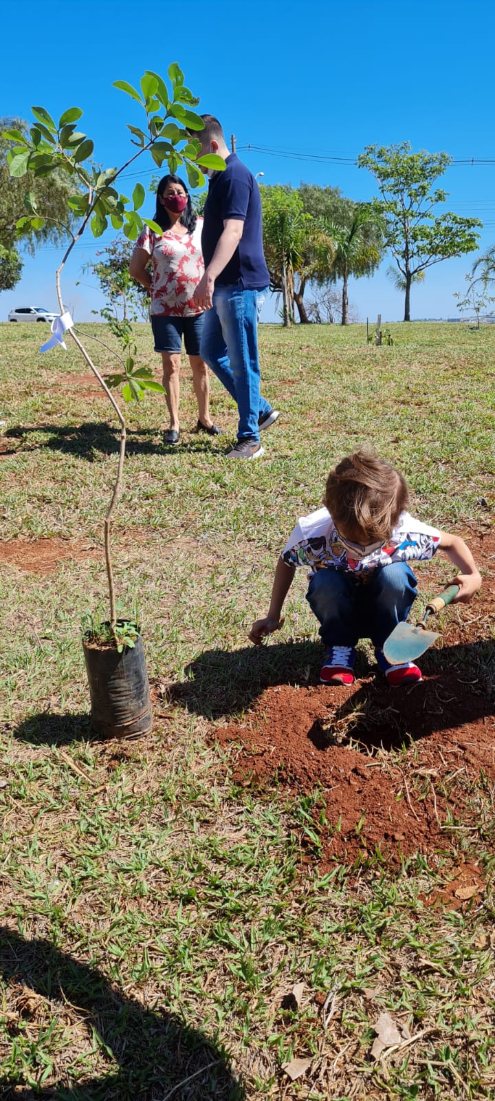SEMEIA AUXILIA PLANTIO DE 30 ÁRVORES