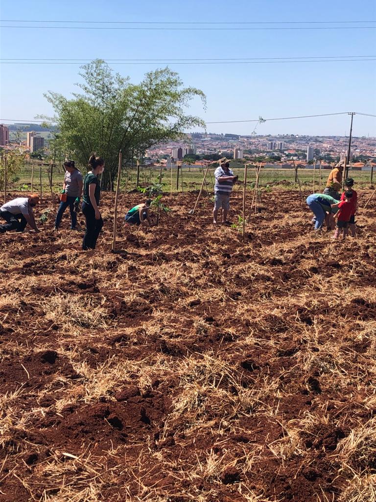 PLANTIO DO ARBORETO DA FATEC