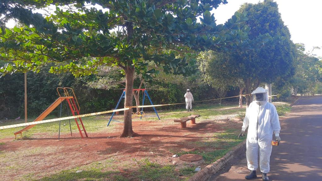 REMOÇÃO DE ABELHAS