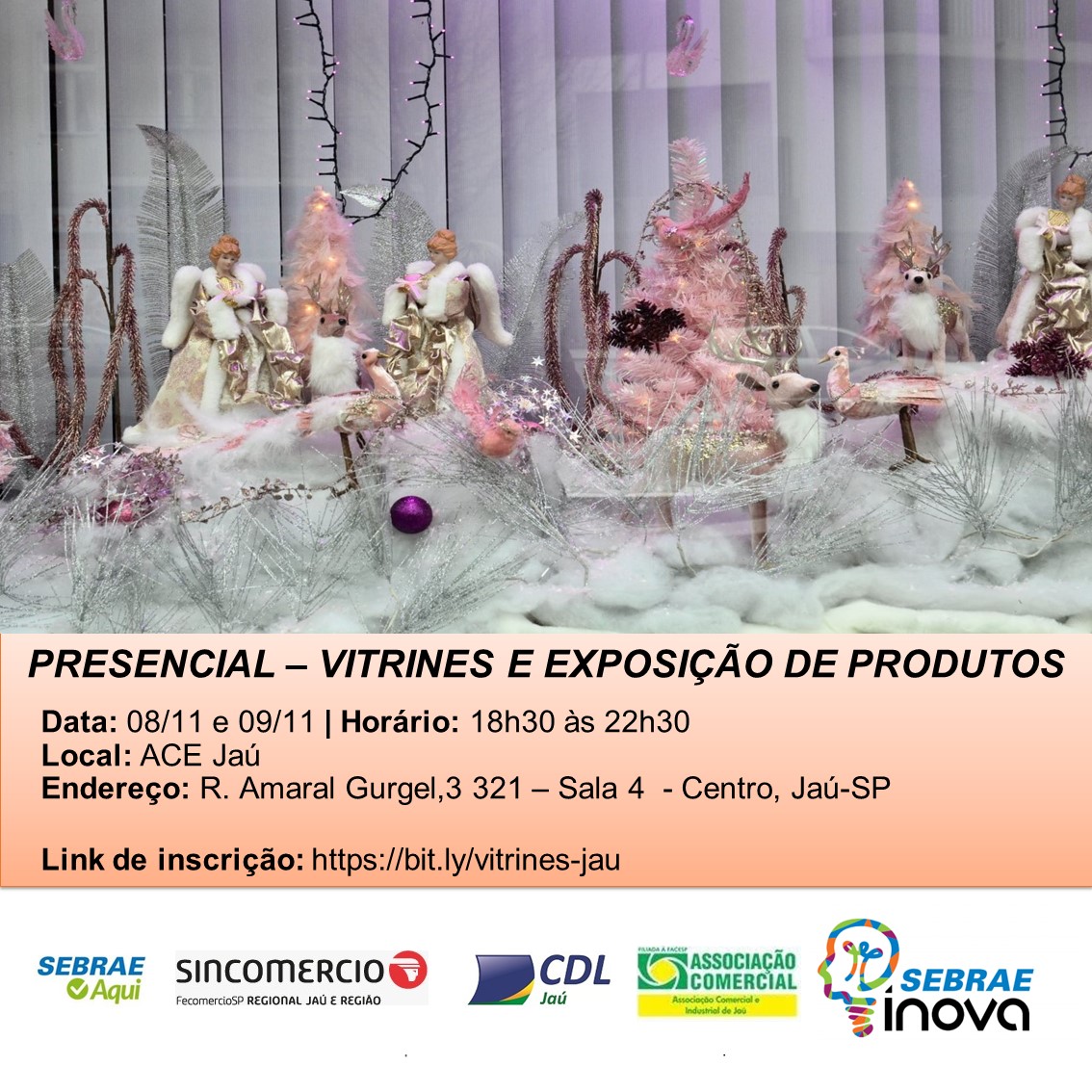 CURSO SOBRE ORGANIZAÇÃO DE VITRINE