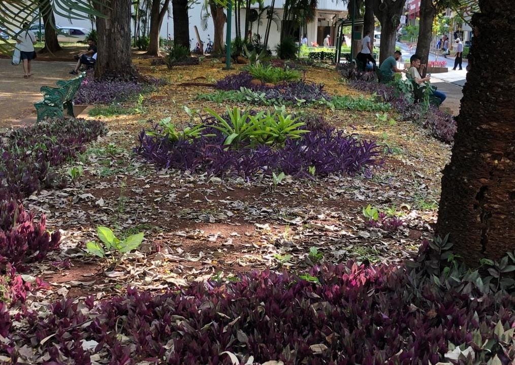 JARDIM DE BAIXO COM MAIS VIDA E COR