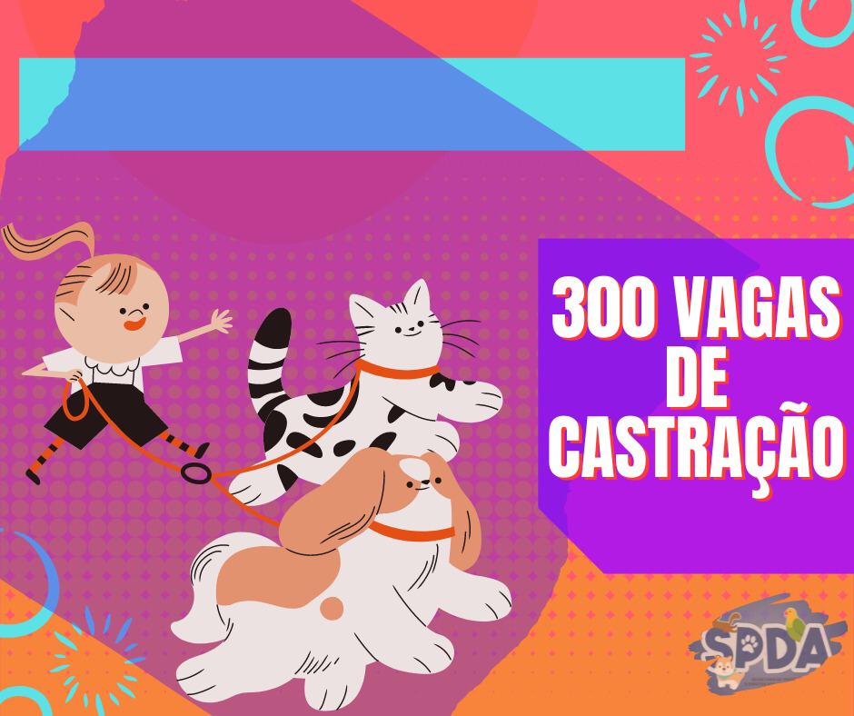 SECRETARIA CADASTRA ANIMAIS SEM RAÇA DEFINIDA PARA CASTRAÇÃO