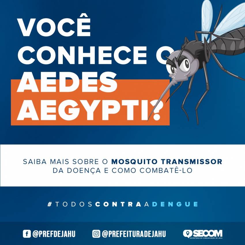 VOCÊ SABE IDENTIFICAR O AEDES AEGYPTI?