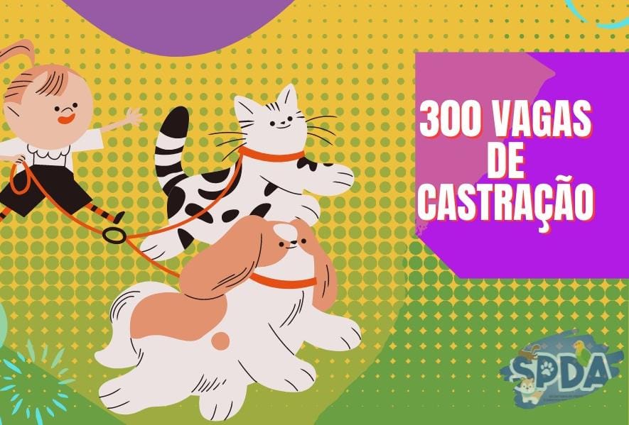 300 ANIMAIS SÃO CASTRADOS NO FIM DE SEMANA
