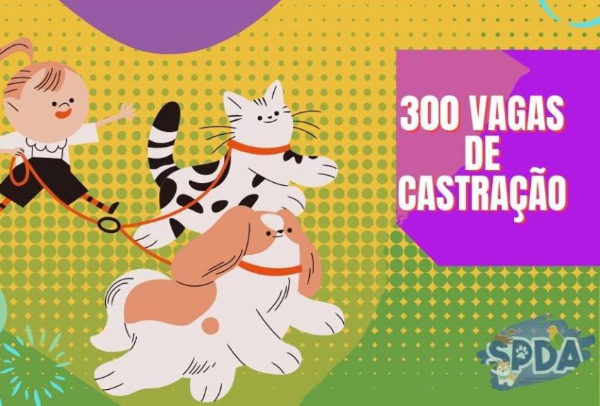 300 ANIMAIS SÃO CASTRADOS NO FIM DE SEMANA