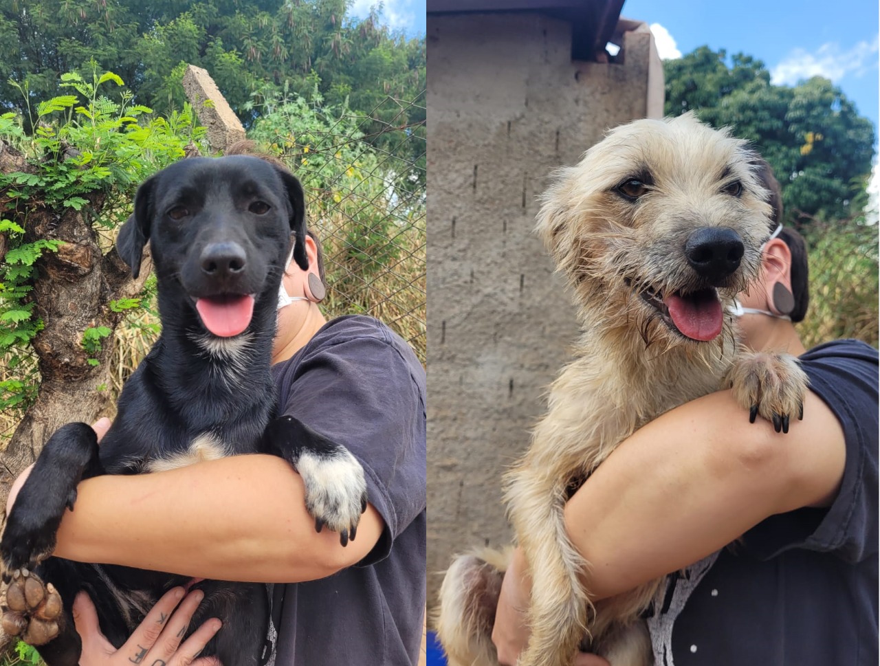 CHRISTIAN E RALPH AGUARDAM ADOÇÃO  