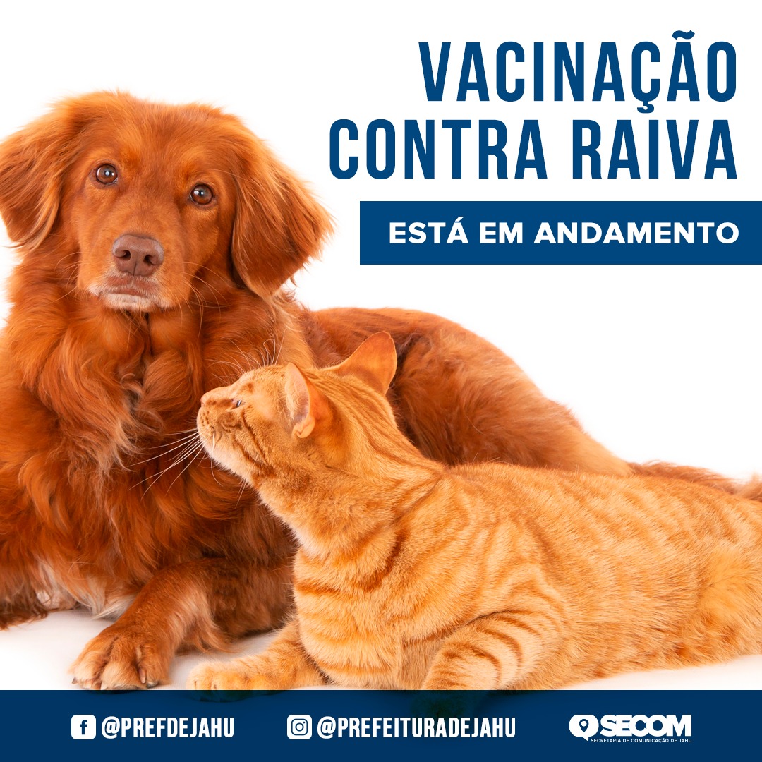 VACINAÇÃO CONTRA RAIVA ESTÁ EM ANDAMENTO  