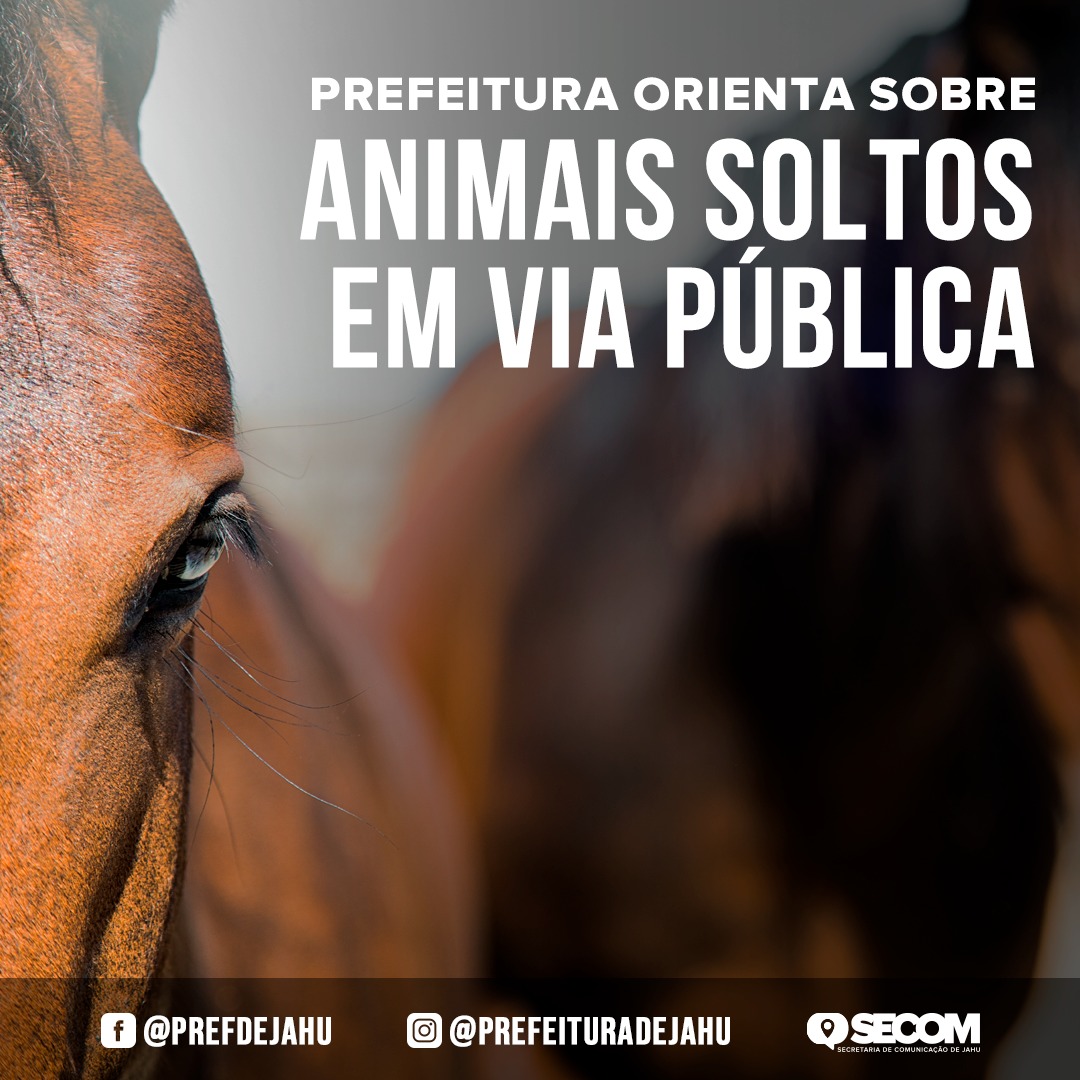 PREFEITURA ORIENTA SOBRE ANIMAIS SOLTOS EM VIA PÚBLICA  