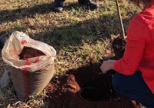 ÁRVORES SÃO PLANTADAS EM MEMÓRIA ÀS VÍTIMAS DE TRÂNSITO