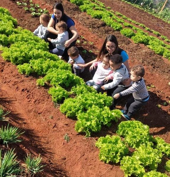 CRIANÇAS VISITAM HORTA DO BAIRRO FREI GALVÃO