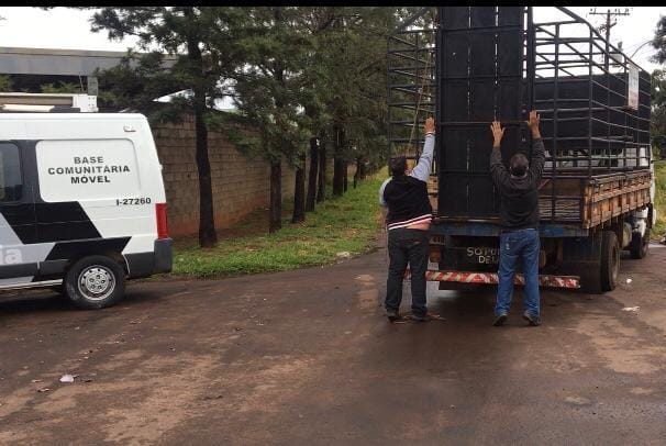 PREFEITURA INICIA APREENSÃO DE ANIMAIS  