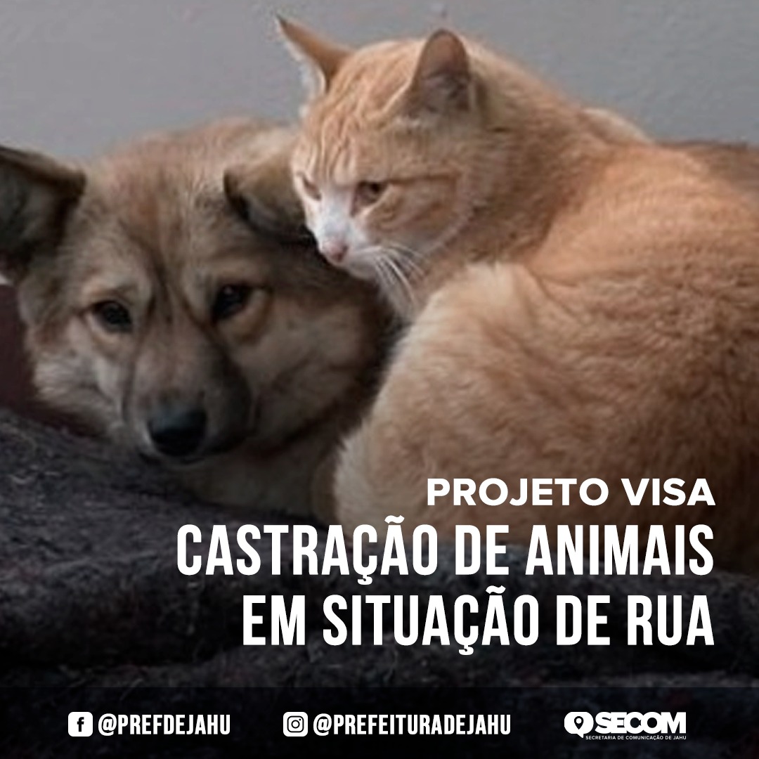 PROJETO VISA CASTRAÇÃO DE ANIMAIS EM SITUAÇÃO DE RUA  