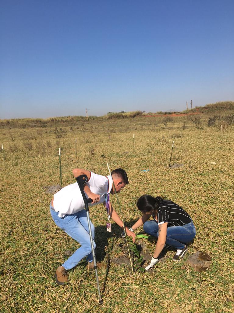PREFEITURA PARTICIPA DO PLANTIO DE ÁRVORES NA LAGOA PRETA